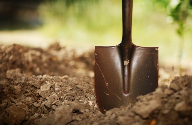 South Jersey Gas, in effort to promote safe digging, is giving away trees