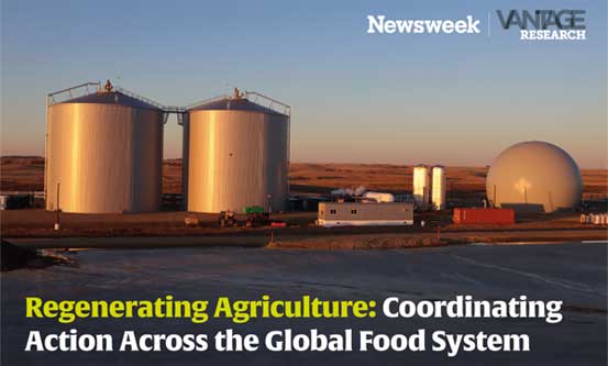 SJI Featured in Newsweek Vantage Report on Sustainable Agricultural Solutions