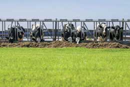 Elkton dairy farm joins green energy effort
